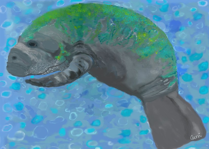 manatee horizontal